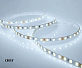 Лента светодиодная  9,6W 120 д/м 12V холодный 5мм